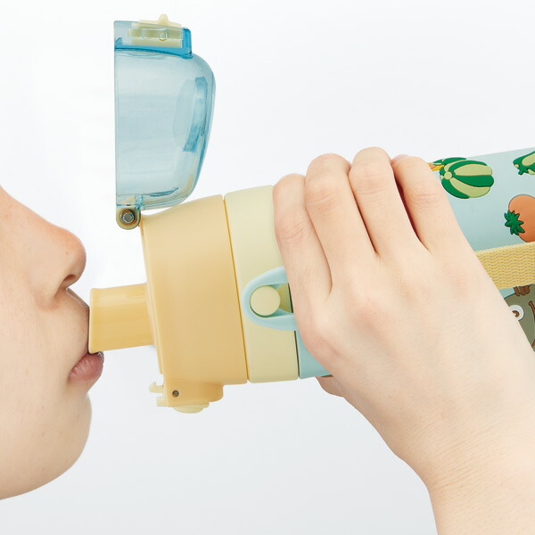 【送料無料】立体プリント 水筒 キッズ ワンタッチ 直飲み ステンレス 480ml おしゃれ かわいい スケーター SDPV5