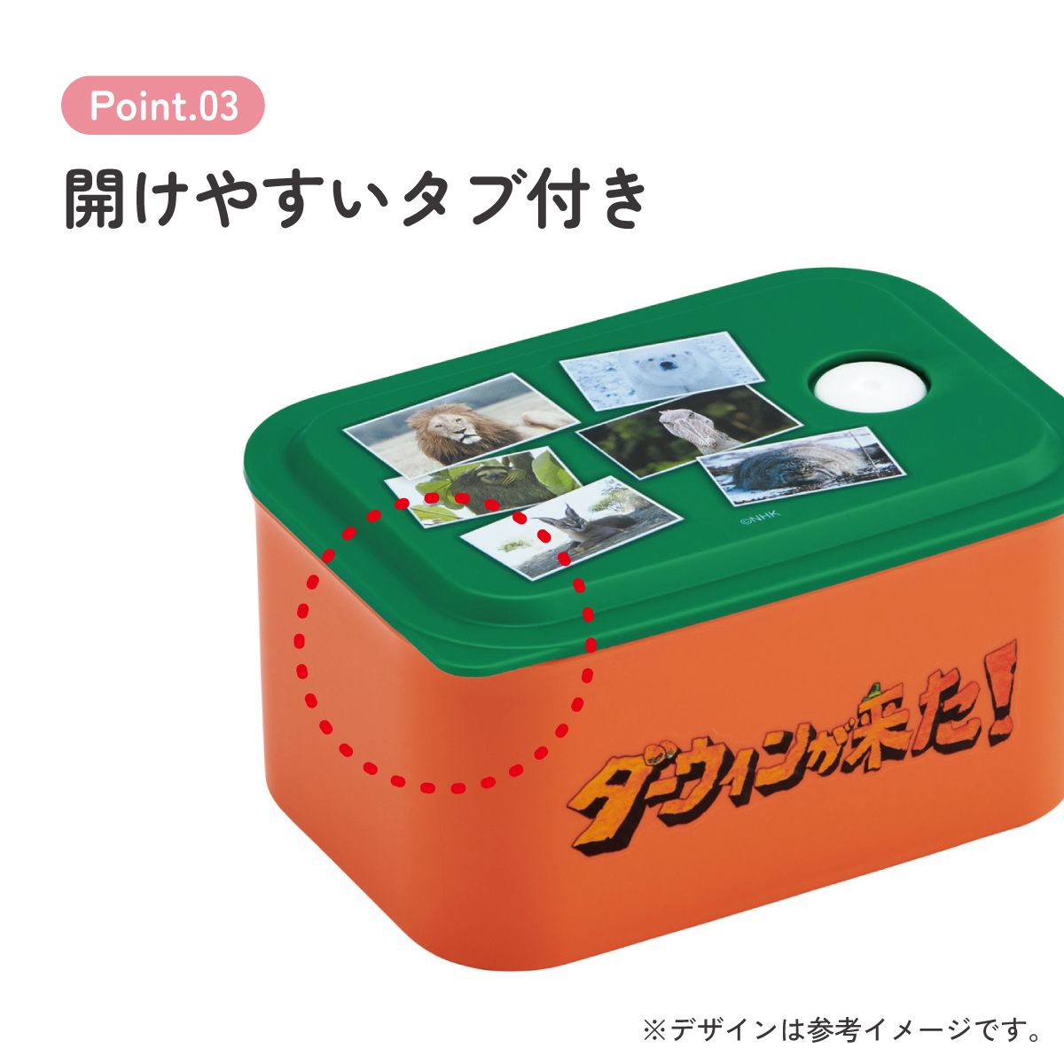 スケーター お弁当箱 320ml ランチボックス S 1段 環境に配慮した バイオマス おしゃれ 大人 skater PL32B ダーウィンが来た! グッズ【レンジ対応 食洗機対応 洗いやすい シンプル 弁当箱】