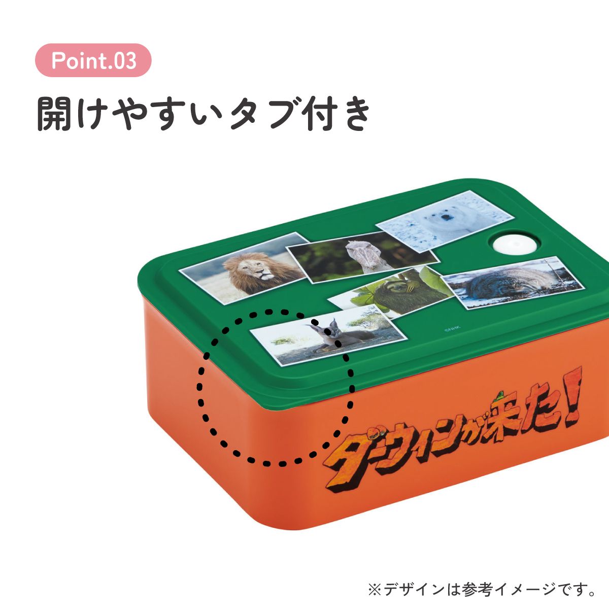 スケーター お弁当箱 700ml ランチボックス M 1段 環境に配慮した バイオマス おしゃれ 大人 skater PL70B ダーウィンが来た！ グッズ【レンジ対応 食洗機対応 洗いやすい シンプル 弁当箱】
