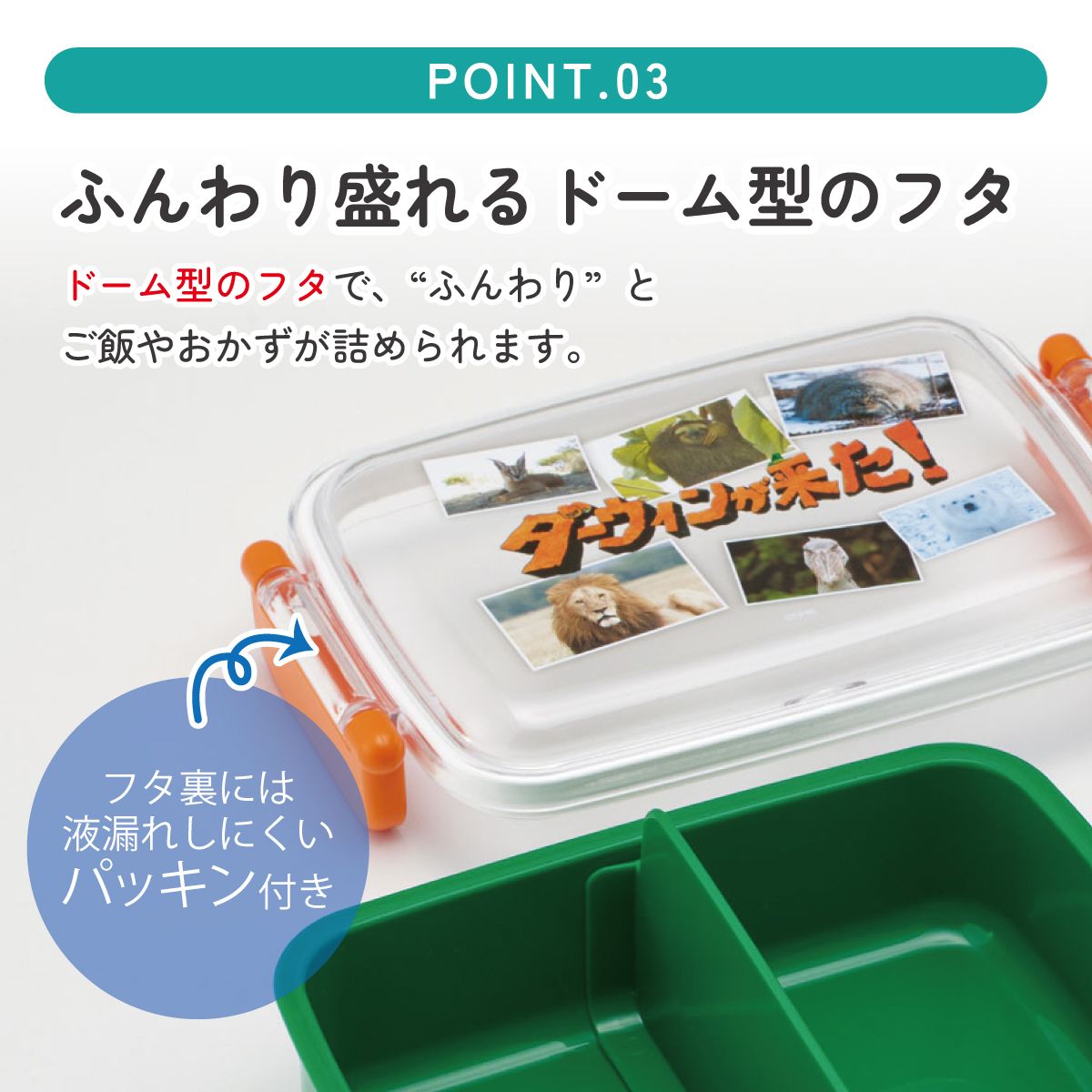 スケーター お弁当箱 子供用 450ml 食洗機対応 日本製 おかずがつぶれにくいドーム型ふた skater RBF3AN ダーウィンが来た! グッズ【キャラクター 1段 ランチボックス 角型 可愛い キッズ】