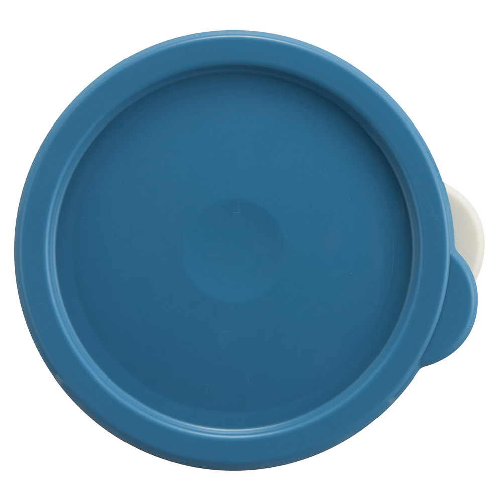 スケーター ワンタッチ 密閉 保存容器 L 1000ml プラスチック 日本製 蓋付き 食品保存 軽い skater SOT10 ムーミン 80 Moomin リトルミイ 女性 レディース