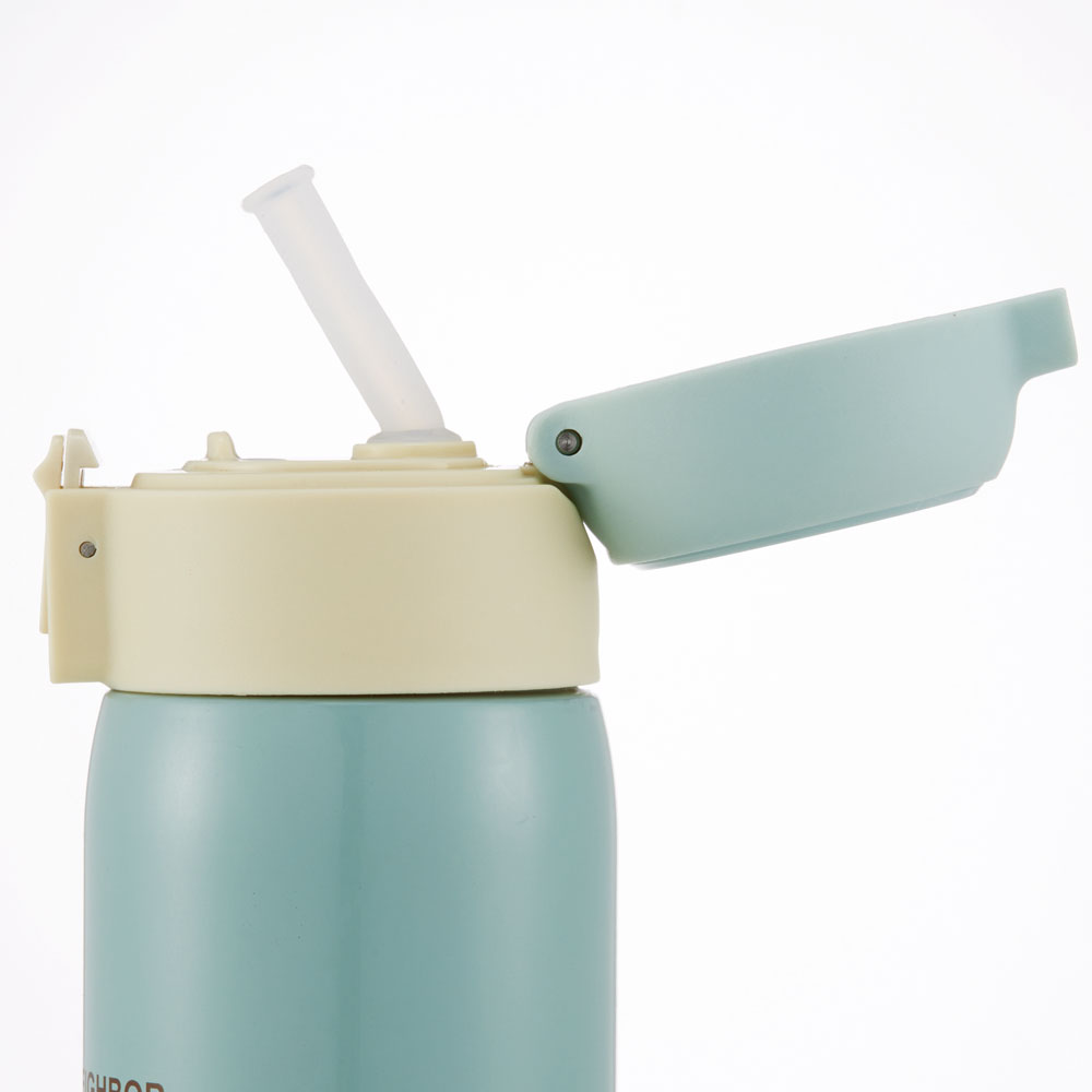 【送料無料】ワンタッチストローボトル 480ml となりのトトロ／STOT5ST_4973307609343