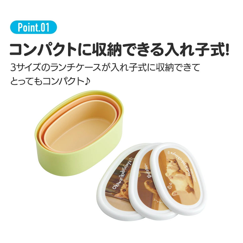 弁当箱 シール容器 抗菌 保存容器 3個セット 茶太郎ときなこ/SRS3SAG_4973307664106