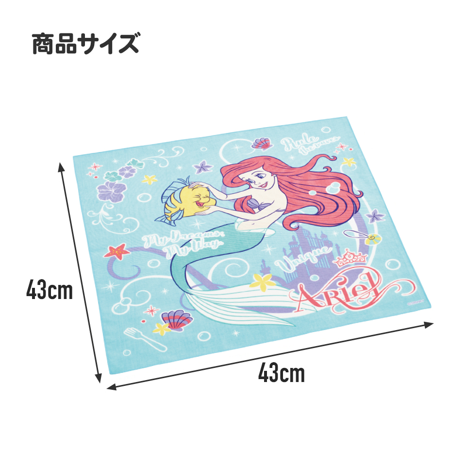 ランチクロス   アリエル２４／KB4_4973307659157
