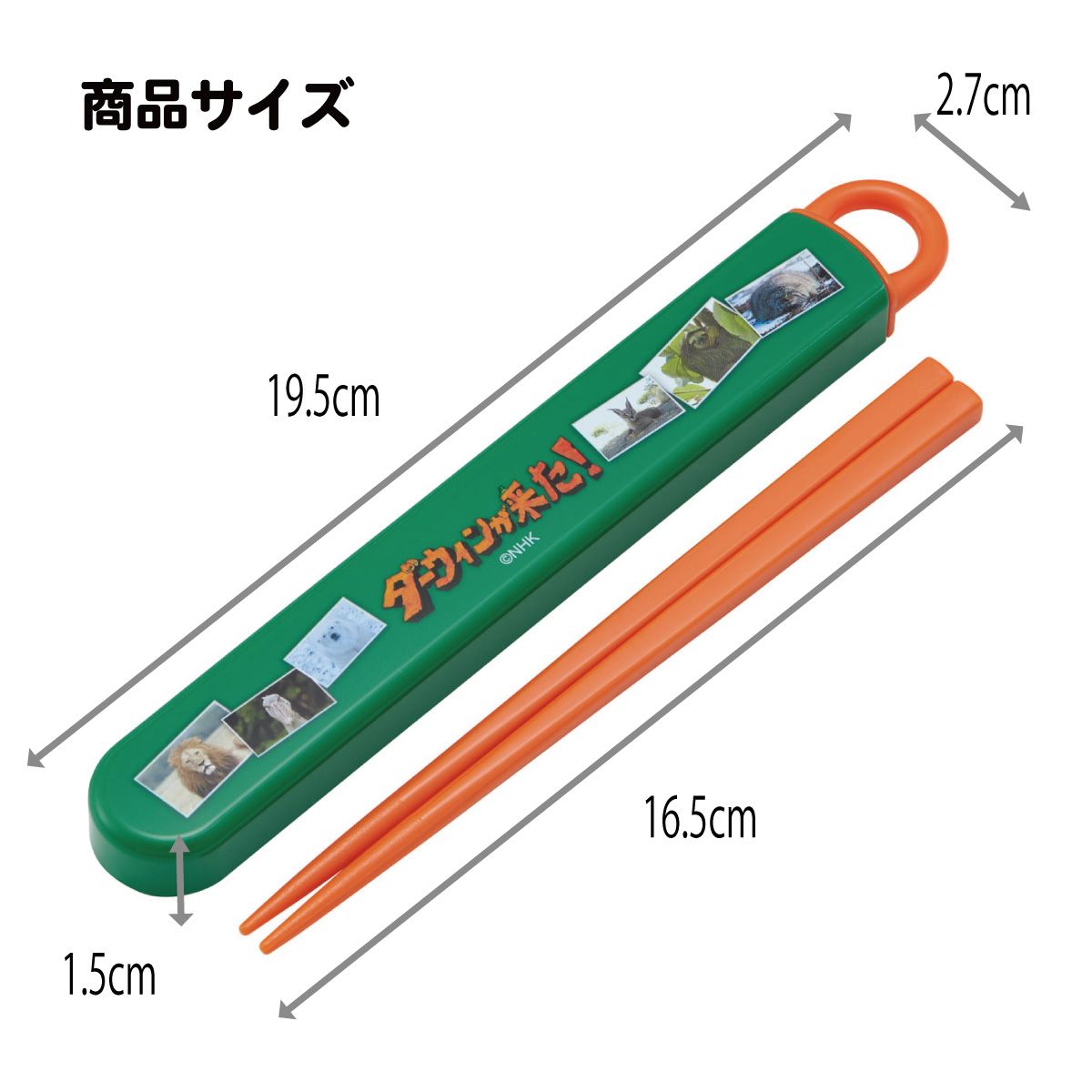 スケーター お箸セット 食洗機対応 箸入れ お弁当 箸 skater 子供 箸ケース ABS2AM ダーウィンが来た! グッズ【カトラリーセット カトラリーケース 蓋付き おはしセット】