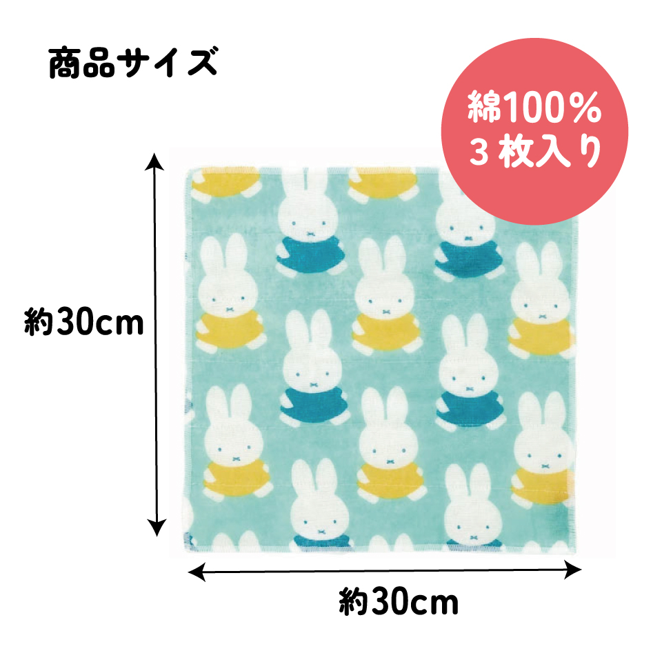 かや生地 ふきん 3枚 セット フキン キッチンクロス かや織り キャラクター skater スケーター KFKC3 ミッフィー Miffy うさこちゃん 女の子 女性