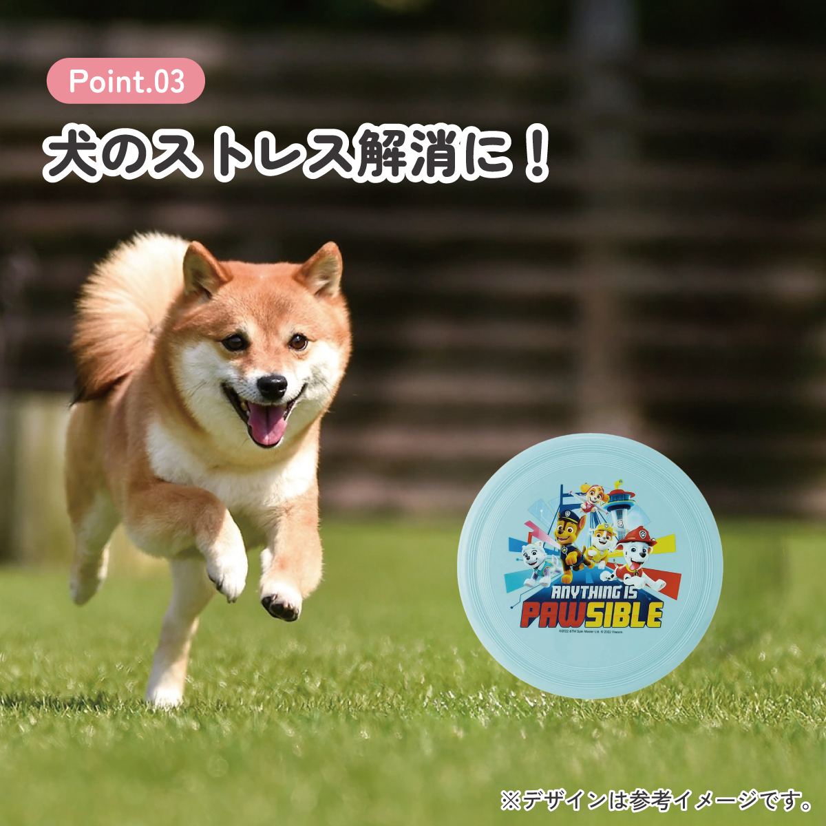 フライング ディスク 24cm フリスビー アウトドア スポーツ レジャー OFB1 スケーター パウ パトロール パウパト 男の子 男子 男児【公園 屋外 おもちゃ キッズ 子供 運動 遊び】