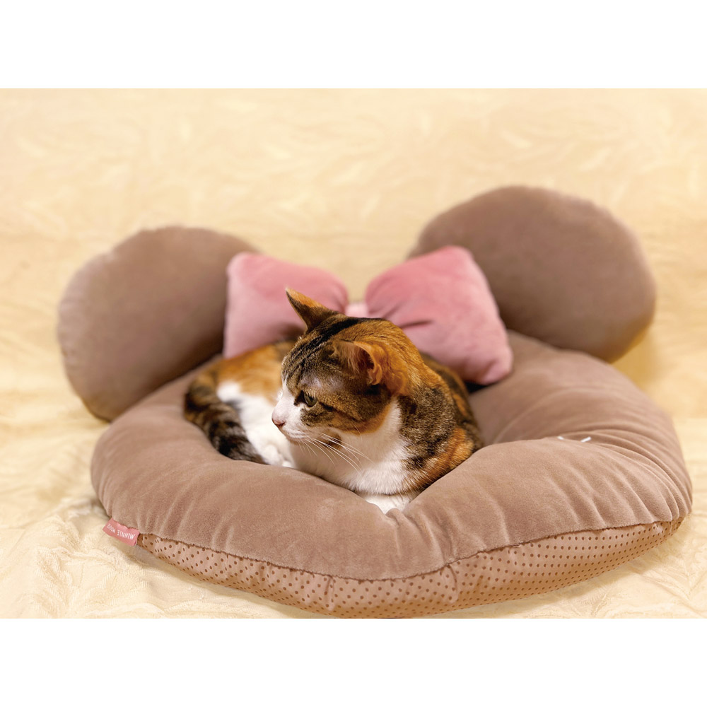 【送料無料】ペット用 クッション 犬 猫 超小型 小型 ペット かわいい キャラクター スケーター skater PCS1 ミニーマウス ミニー Minnie ディズニー 女の子【底面すべり止め付き 可愛い】