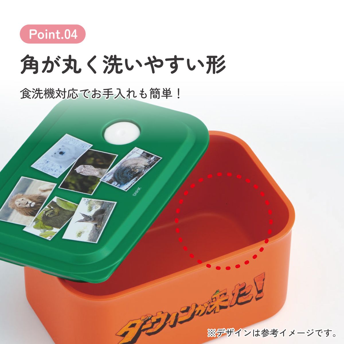 スケーター お弁当箱 320ml ランチボックス S 1段 環境に配慮した バイオマス おしゃれ 大人 skater PL32B ダーウィンが来た! グッズ【レンジ対応 食洗機対応 洗いやすい シンプル 弁当箱】