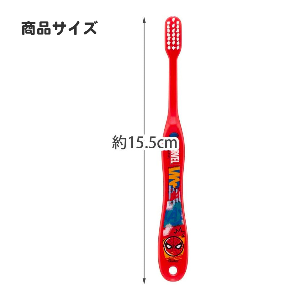 歯ブラシ 3本セット/小学生用トトロ プランツ/TB6ST_4973307647628/スケーター