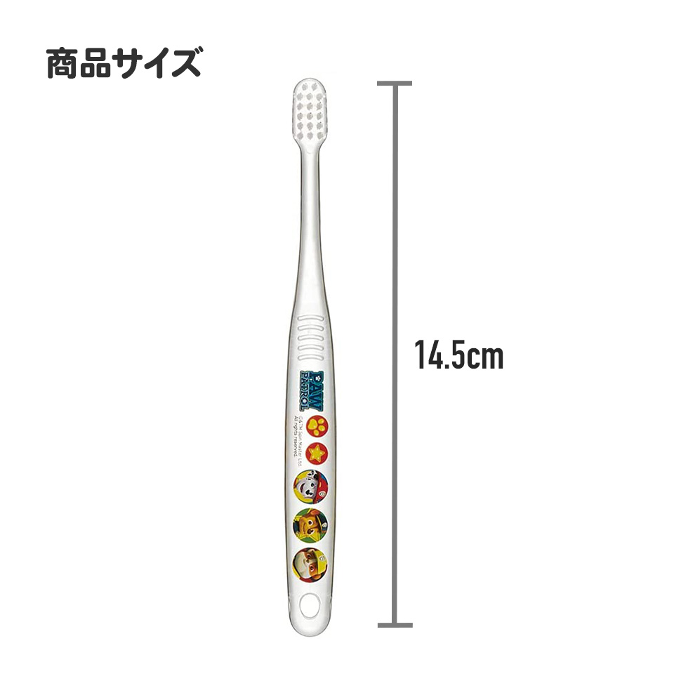 クリア歯ブラシ 3本セット/園児用トトロ プランツ/TBCR5T_4973307473005/スケーター
