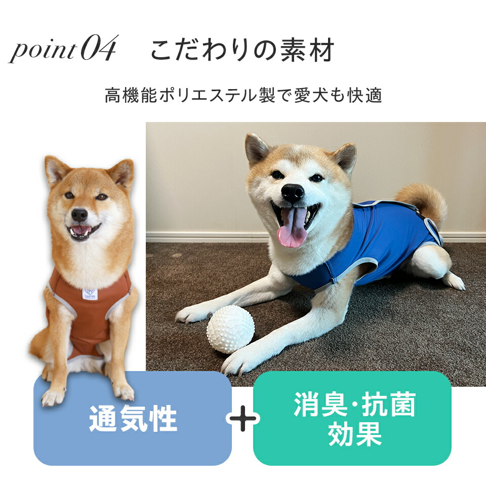 【メール便対象品】 ペット用 術後服 犬 男の子用 6号 ネイビー 大阪公立大学との共同開発PETCM4 スケーター オス 雄【服 抗菌 消臭 手術後 ウェア いぬ わんちゃん 肌にやさしい 着せやすい 傷なめ 防止 傷口 保護 紺】