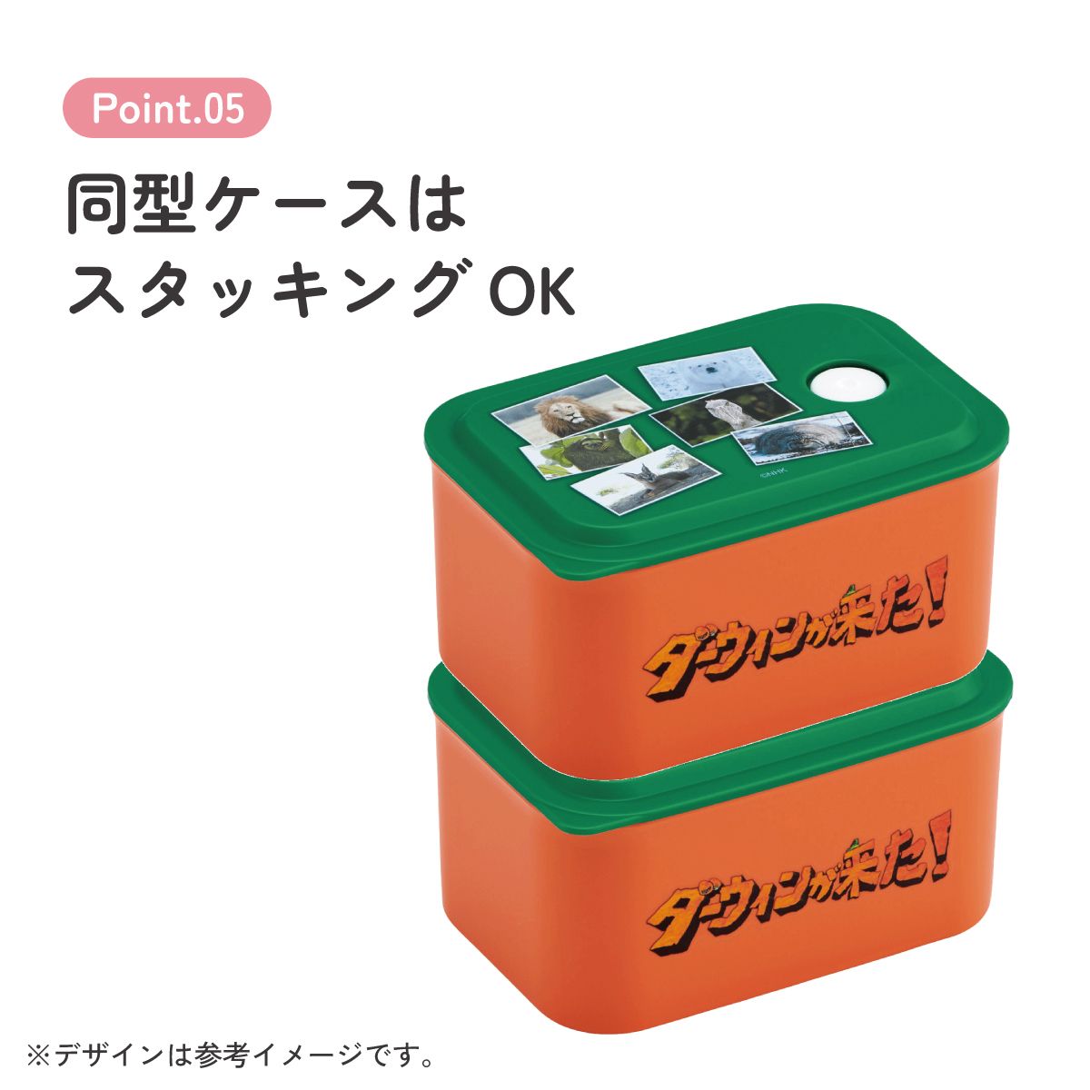 スケーター お弁当箱 320ml ランチボックス S 1段 環境に配慮した バイオマス おしゃれ 大人 skater PL32B ダーウィンが来た! グッズ【レンジ対応 食洗機対応 洗いやすい シンプル 弁当箱】