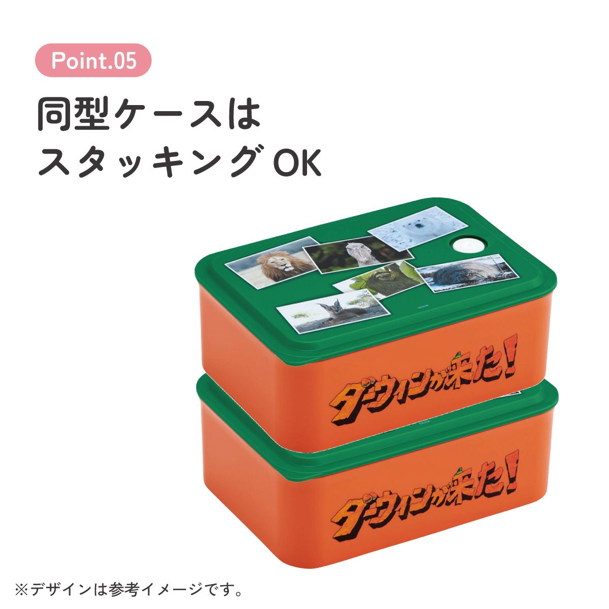 スケーター お弁当箱 700ml ランチボックス M 1段 環境に配慮した バイオマス おしゃれ 大人 skater PL70B ダーウィンが来た！ グッズ【レンジ対応 食洗機対応 洗いやすい シンプル 弁当箱】