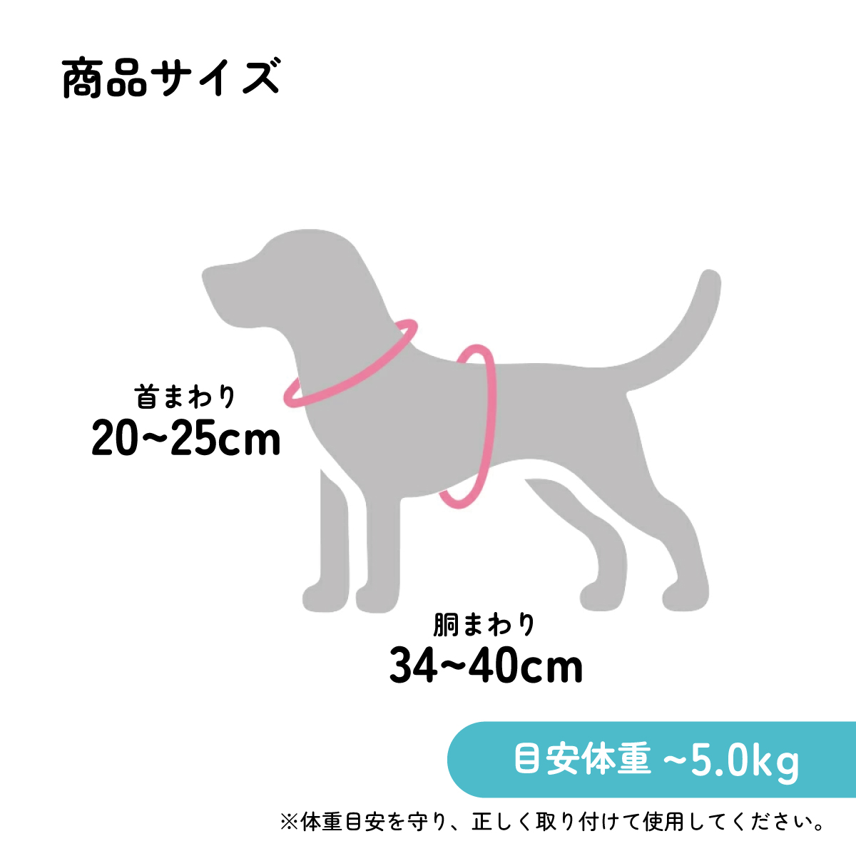 ハーネス S バーガーコンクス 犬 ペット 用品 グッズ 散歩 PTHV1 スケーター【わんちゃん ワンちゃん いぬ さんぽ お散歩 かわいい おしゃれ】