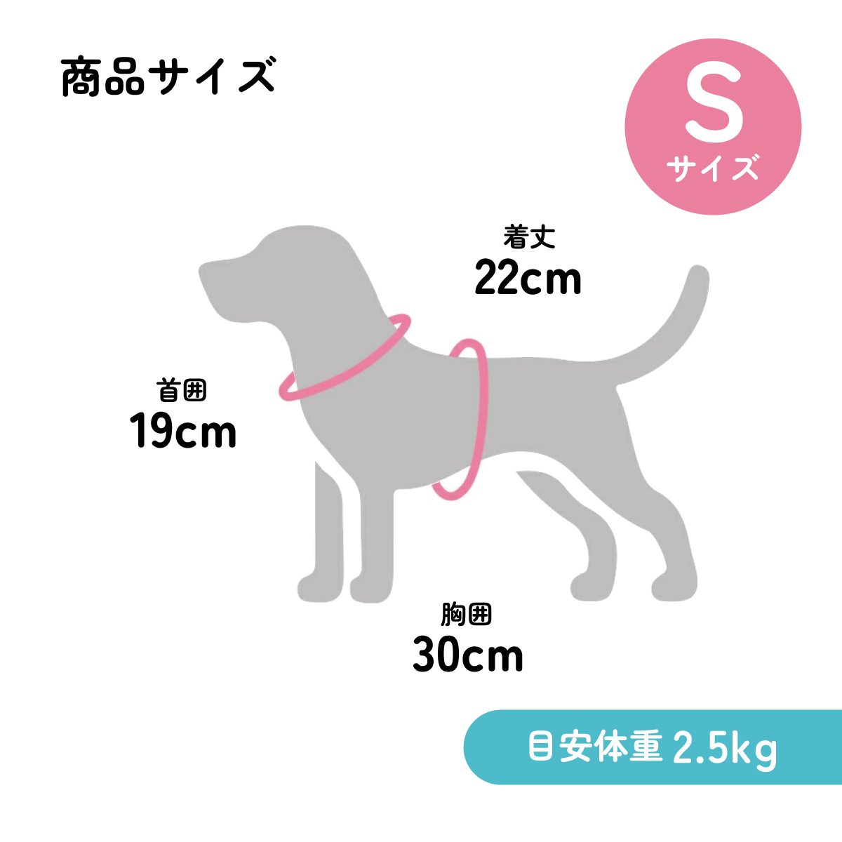 小型犬用 ドッグ タンク Sサイズ ペット 服 衣装 犬 スケーター skater PTT1 ボーダー 男の子 女の子 男子 女子 オス メス 雄 雌【ペット ウェア タンクトップ いぬ わんちゃん おしゃれ】