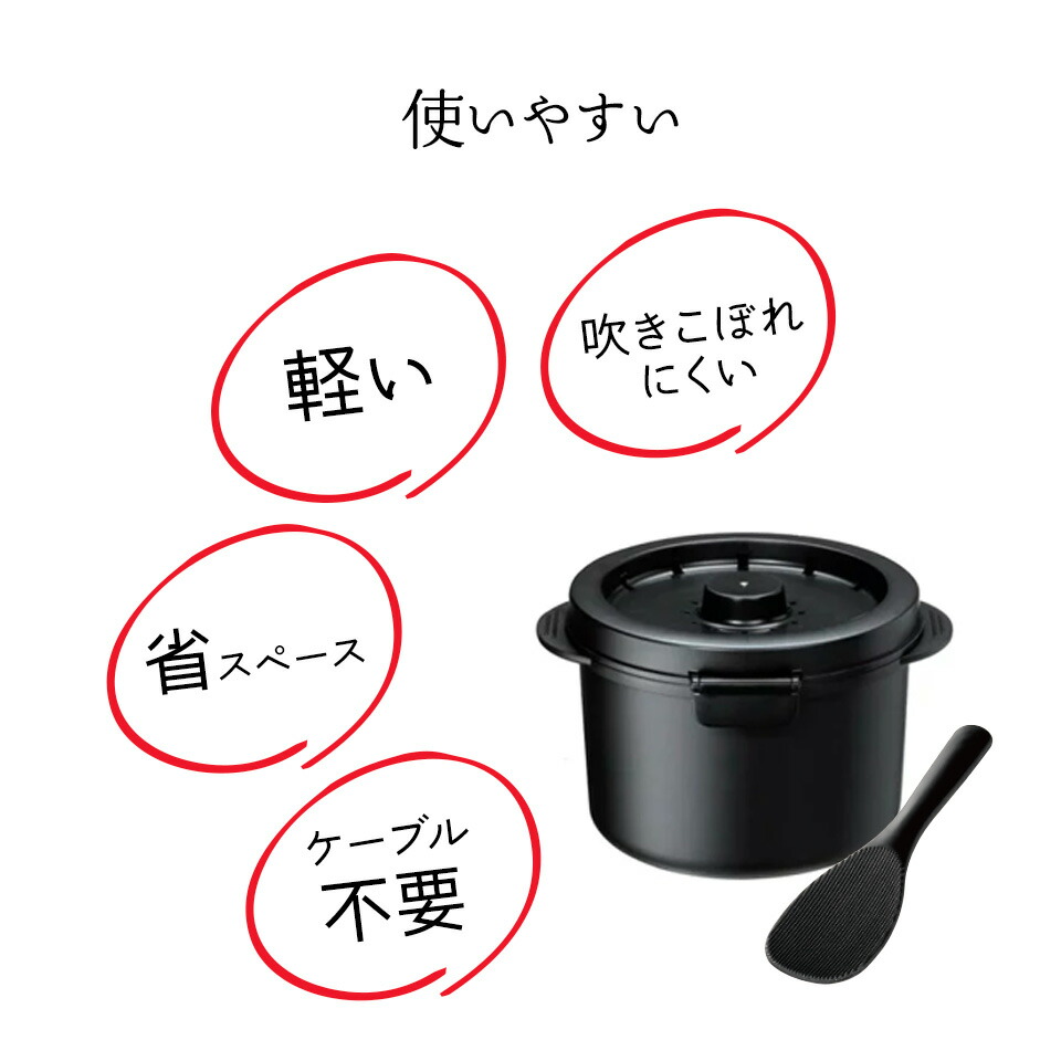 糖質カットご飯メーカー 2合炊き ベーシック/UDG2N_4973307570018