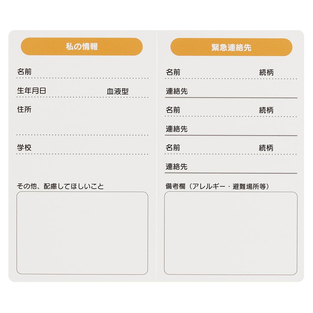 スケーター 防災ポーチ 防災名札付き 防災 ポーチ 子供 こども キッズ 小物 持ち歩き 収納 キャラクター ZBP1 しましま とらの しまじろう 男の子 女の子【対策 備え 常備 便利 カラビナ付き】