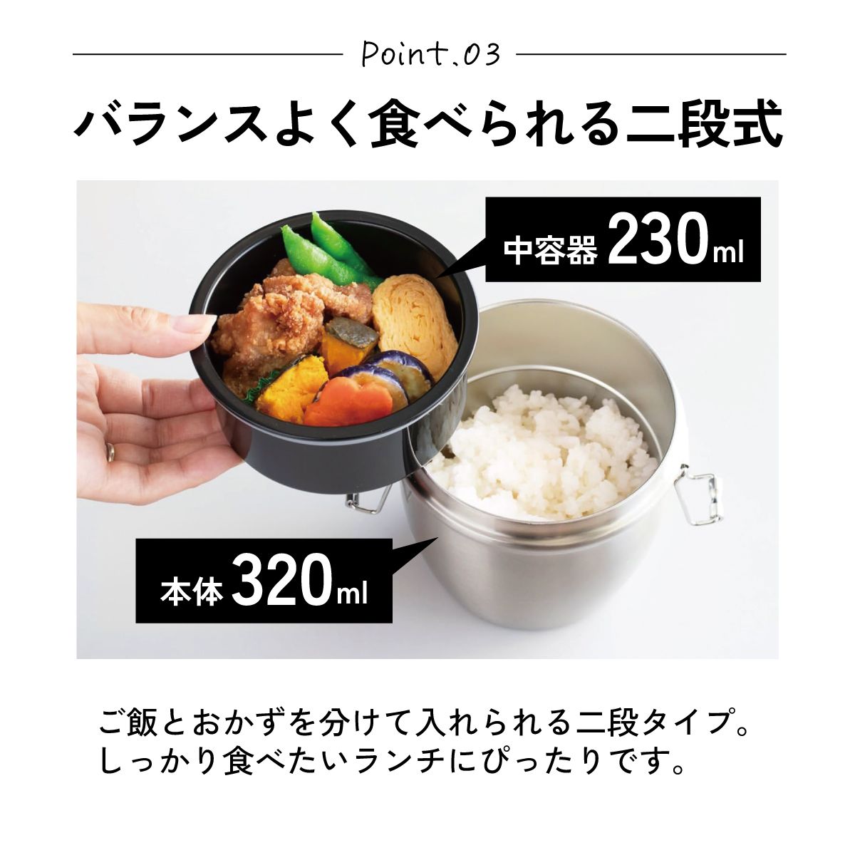 【送料無料】抗菌真空ステンレスランチジャー　丼タイプ 550ml/2段ベーシック／STLBD6AG_4973307550379