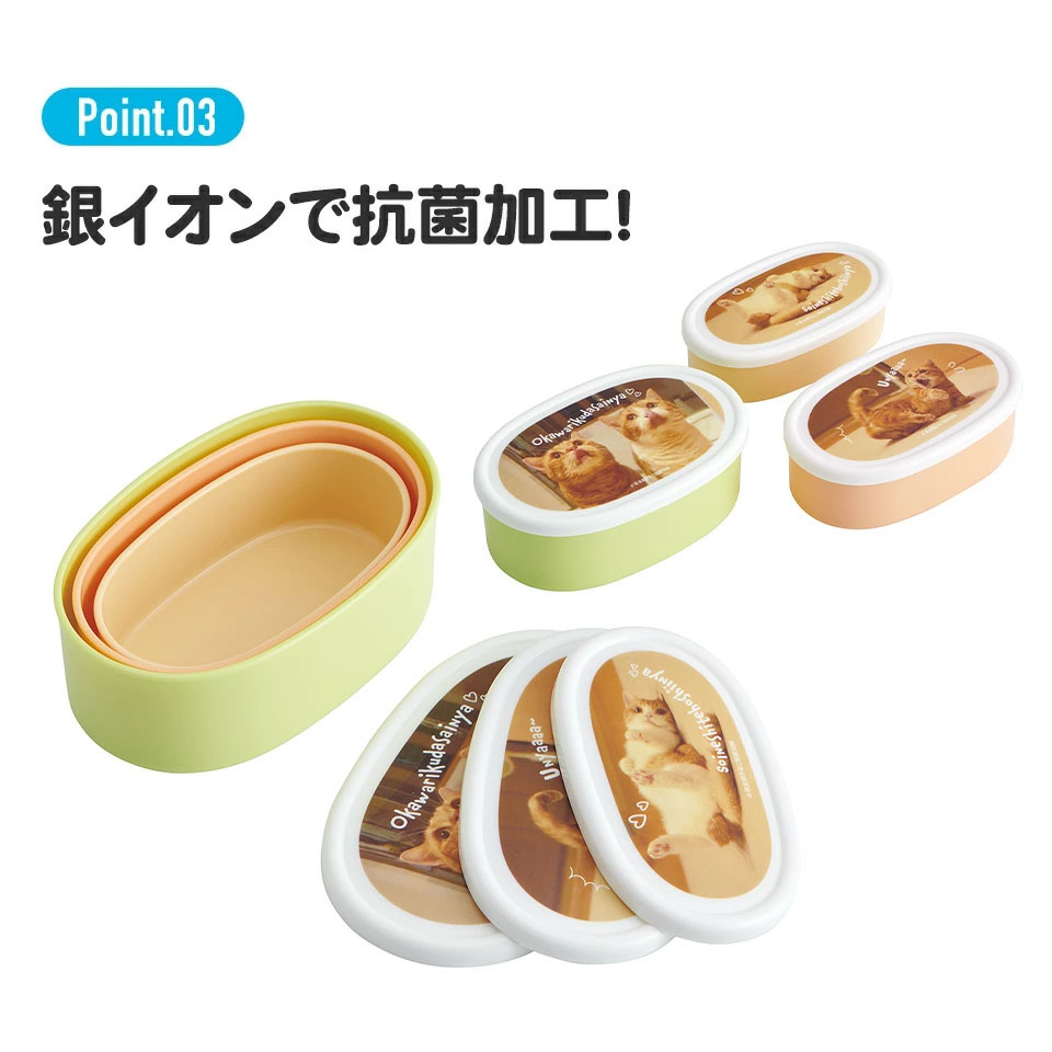 弁当箱 シール容器 抗菌 保存容器 3個セット 茶太郎ときなこ/SRS3SAG_4973307664106