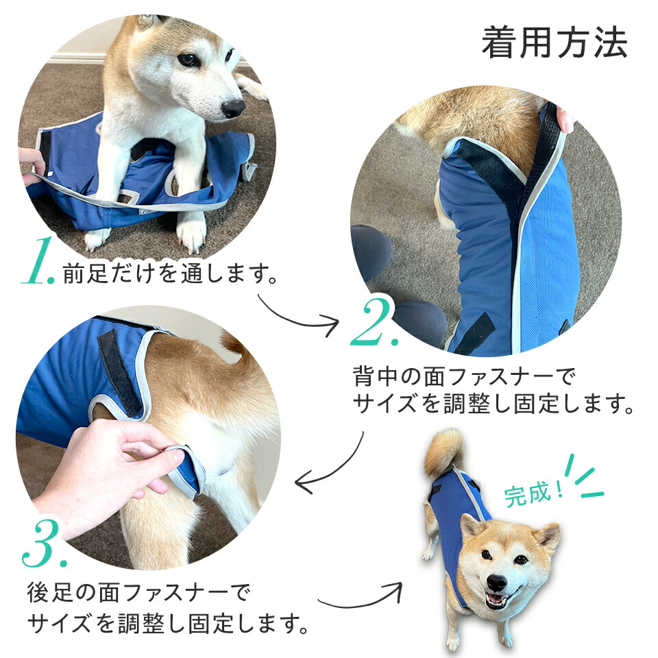 【メール便対象品】 ペット用 術後服 犬 男の子用 6号 ネイビー 大阪公立大学との共同開発PETCM4 スケーター オス 雄【服 抗菌 消臭 手術後 ウェア いぬ わんちゃん 肌にやさしい 着せやすい 傷なめ 防止 傷口 保護 紺】