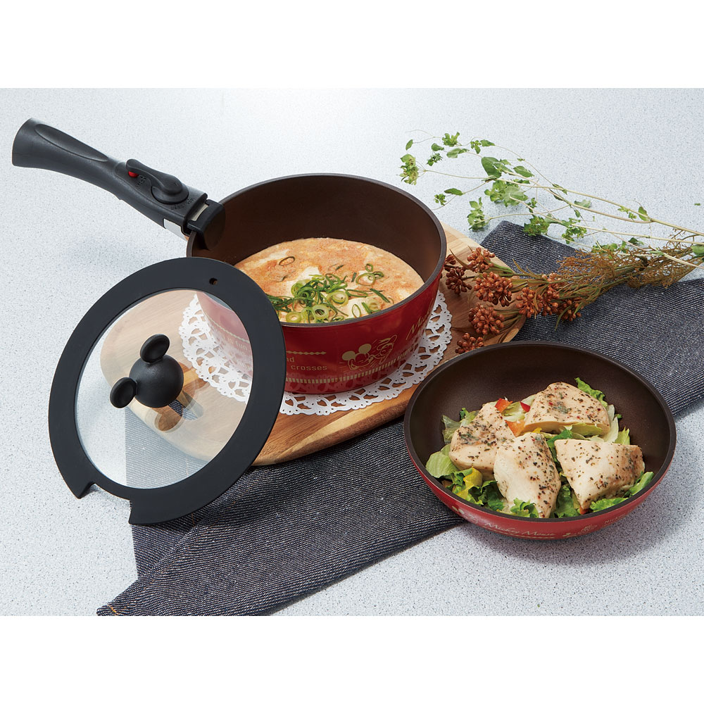 【送料無料】取っ手が取れる 鍋 &フライパン セット IH ガス火 対応 20cm 蓋付き ANFP2 スケーター