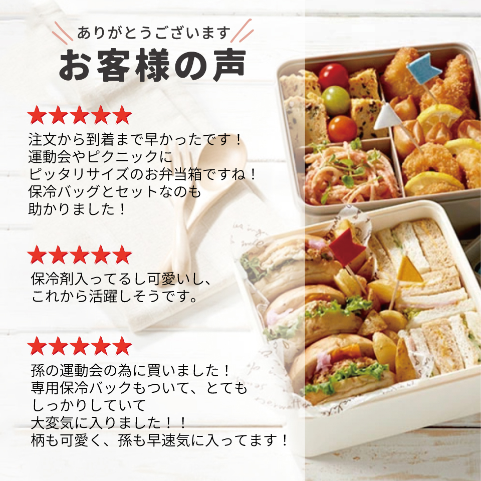 【送料無料】保冷バッグ付行楽ランチセット ミッフィー20/KCPC4_4973307490033/スケーター