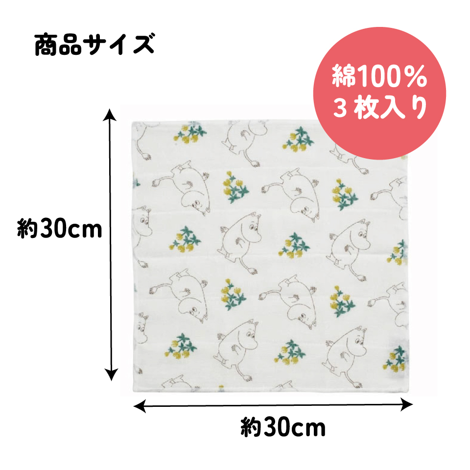 かや生地 ふきん 3枚 セット フキン キッチンクロス かや織り キャラクター キッチン スケーター KFKC3 ムーミン Moomin リトルミイ 女性 レディース
