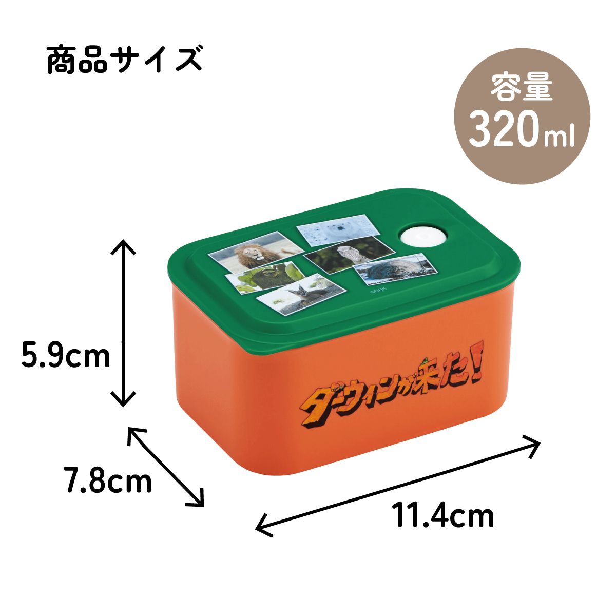 スケーター お弁当箱 320ml ランチボックス S 1段 環境に配慮した バイオマス おしゃれ 大人 skater PL32B ダーウィンが来た! グッズ【レンジ対応 食洗機対応 洗いやすい シンプル 弁当箱】