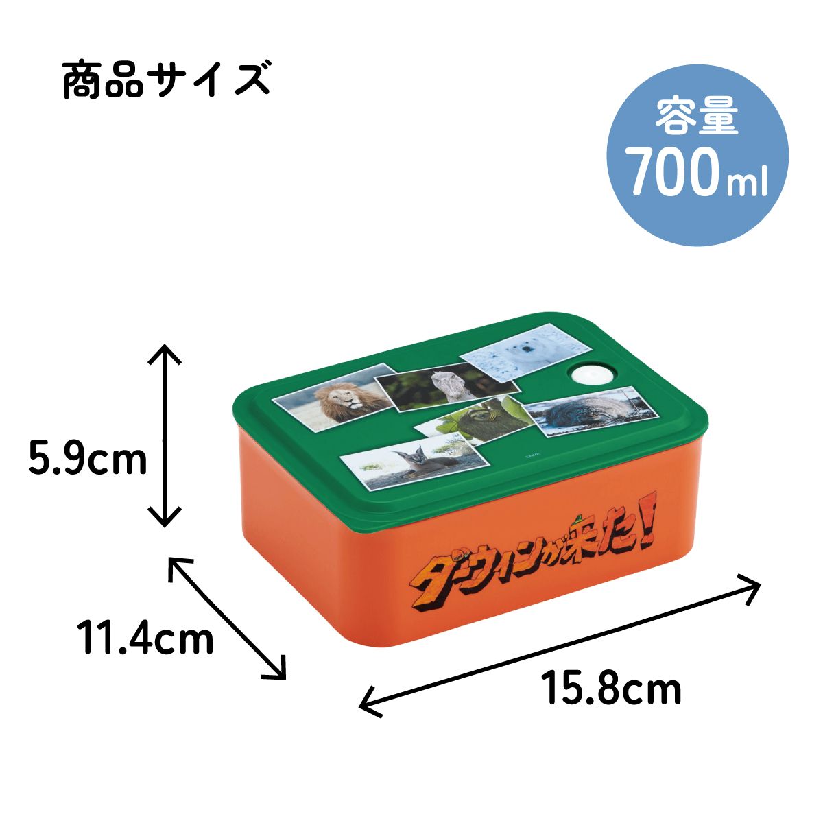 スケーター お弁当箱 700ml ランチボックス M 1段 環境に配慮した バイオマス おしゃれ 大人 skater PL70B ダーウィンが来た！ グッズ【レンジ対応 食洗機対応 洗いやすい シンプル 弁当箱】