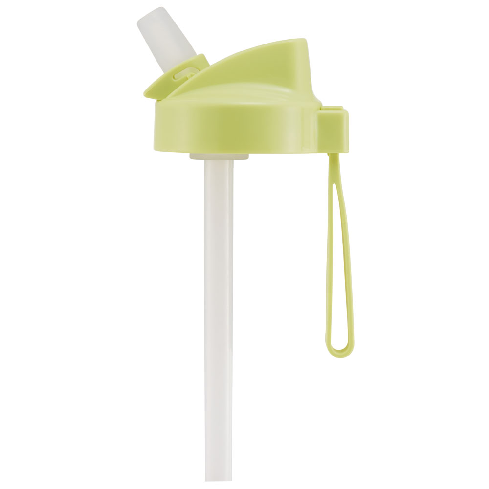 ストロー ボトル 水筒 500ml スパウト型 プラスチック クリア キッズ 子供 スケーター skater PSTB5 ディノサウルス 恐竜 ダイナソー 男の子 男子