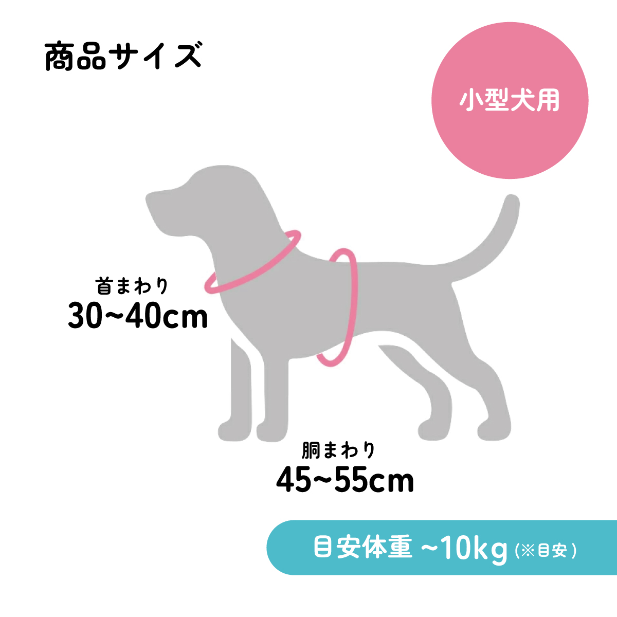 【メール便対象品】 着せやすい ハーネス M 小型犬用 ペット 小型犬 散歩 さんぽ グッズ 用品 スケーター skater PTHV31 大阪公立大学との共同開発 オス メス 雄 雌【わんちゃん ワンちゃん いぬ さんぽ お散歩】