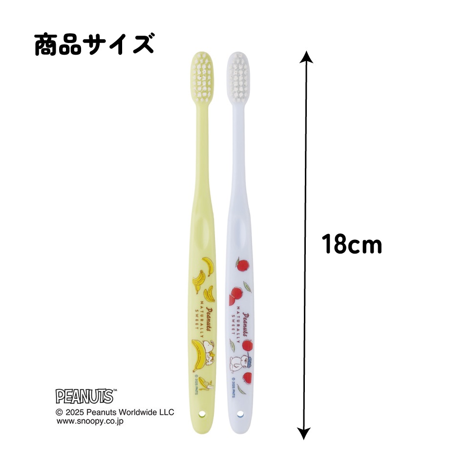 【メール便対象品】 スケーター 歯ブラシ 2本 セット ふつう 衛生 用品 はみがき キャラクター 可愛い TBN1W skater スヌーピー 26年 SNOOPY ピーナッツ PEANUTS【歯ぶらし はぶらし ハブラシ 歯磨き ハミガキ 虫歯 予防 2本入】