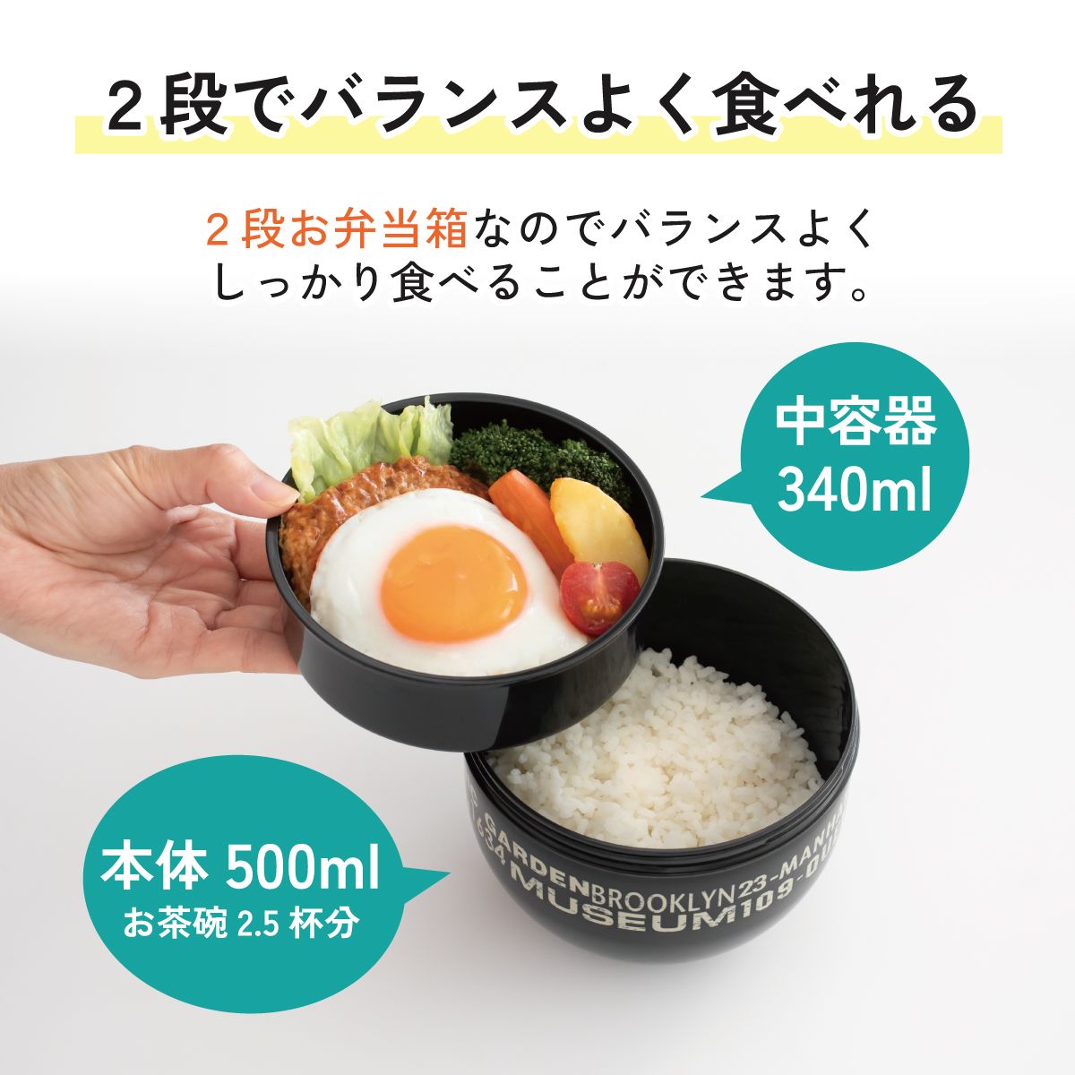 弁当箱 どんぶり 型 丼 総 容量 840ml 日本製 ランチボックス お弁当箱 お弁当 弁当 スケーター PDN9