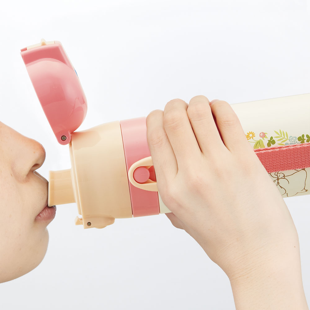 【送料無料】超軽量2WAYステンレスボトル 470ml/430mlトトロメイといっしょ/SKDC4_4973307609541