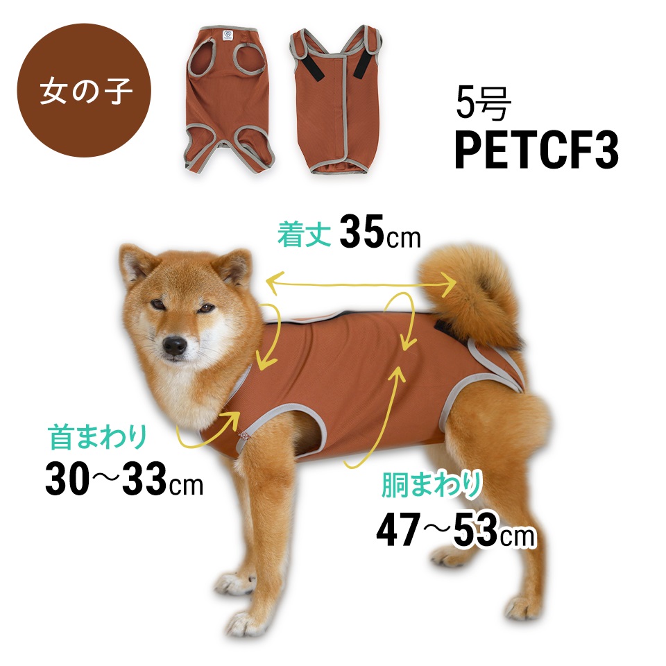 【メール便対象品】 ペット用 術後服 犬 女の子用 5号 ブラウン 大阪公立大学との共同開発 PETCF3 スケーター メス 雌【服 抗菌 消臭 手術後 ウェア いぬ わんちゃん 肌にやさしい 着せやすい 傷なめ 防止 傷口 保護 茶】