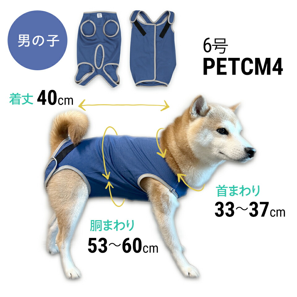 【メール便対象品】 ペット用 術後服 犬 男の子用 6号 ネイビー 大阪公立大学との共同開発PETCM4 スケーター オス 雄【服 抗菌 消臭 手術後 ウェア いぬ わんちゃん 肌にやさしい 着せやすい 傷なめ 防止 傷口 保護 紺】