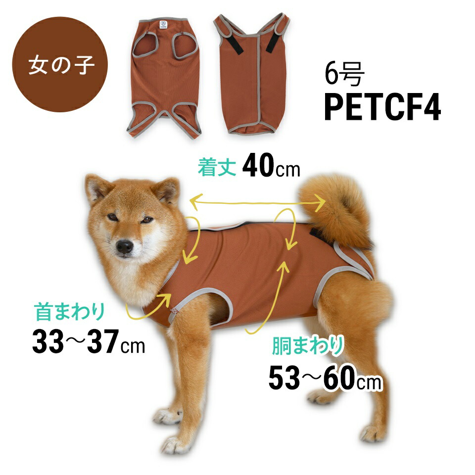 【メール便対象品】 ペット用 術後服 犬 女の子用 6号 ブラウン 大阪公立大学との共同開発 PETCF4 スケーター メス 雌【服 抗菌 消臭 手術後 ウェア いぬ わんちゃん 肌にやさしい 着せやすい 傷なめ 防止 傷口 保護 茶】