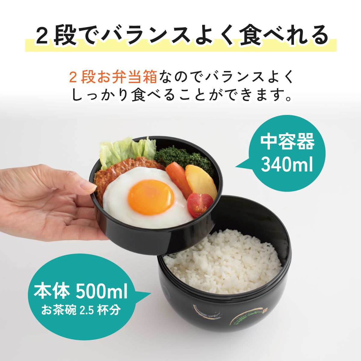 【送料無料】弁当箱 どんぶり 型 丼 総 容量 830ML 日本製 ランチボックス お弁当箱 お弁当 弁当 スケーター PDN9