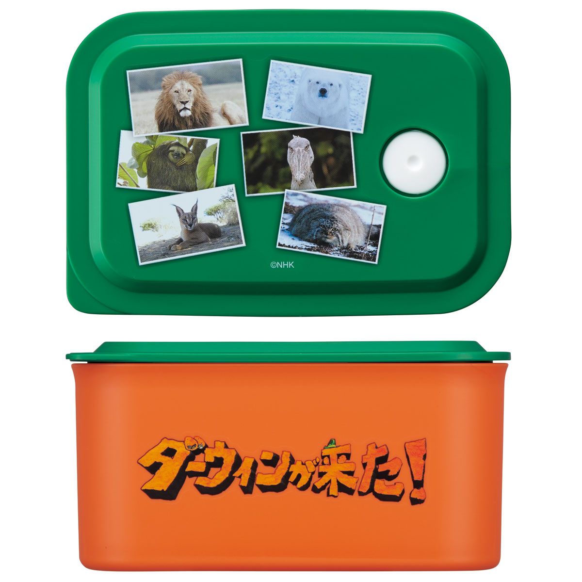 スケーター お弁当箱 320ml ランチボックス S 1段 環境に配慮した バイオマス おしゃれ 大人 skater PL32B ダーウィンが来た! グッズ【レンジ対応 食洗機対応 洗いやすい シンプル 弁当箱】