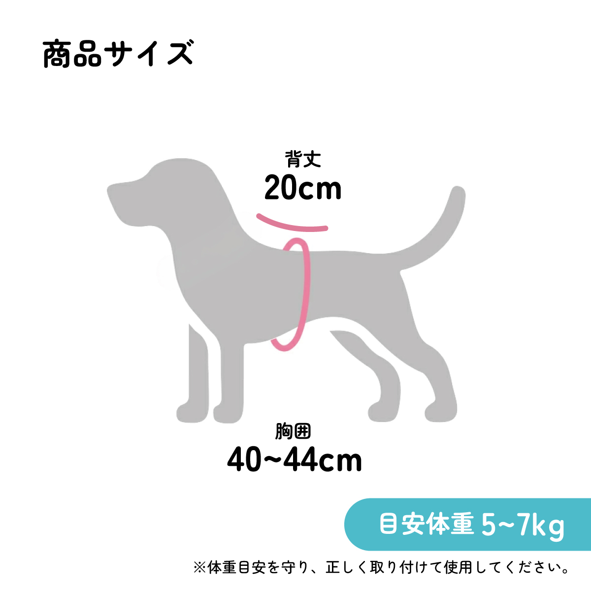 【送料無料】ベストハーネス L 犬 ペット 用品 グッズ 散歩 スケーター skater PTHV4 バーガーコンクス BURGER CONX 男の子 女の子【わんちゃん ワンちゃん いぬ さんぽ お散歩 かわいい おしゃれ】