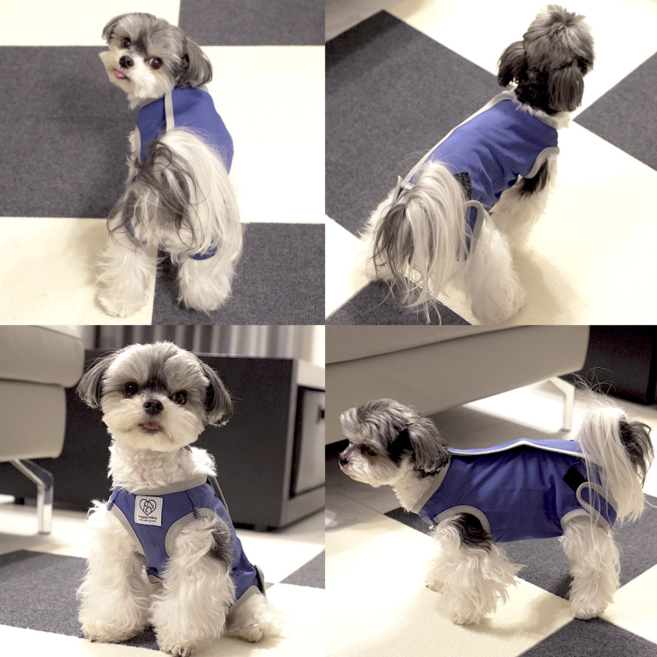 【メール便対象品】 ペット用 術後服 犬 男の子用 3号 ネイビー  大阪公立大学との共同開発PETCM1 スケーター オス 雄【服 抗菌 消臭 手術後 ウェア いぬ わんちゃん 肌にやさしい 着せやすい 傷なめ 防止 傷口 保護 紺】