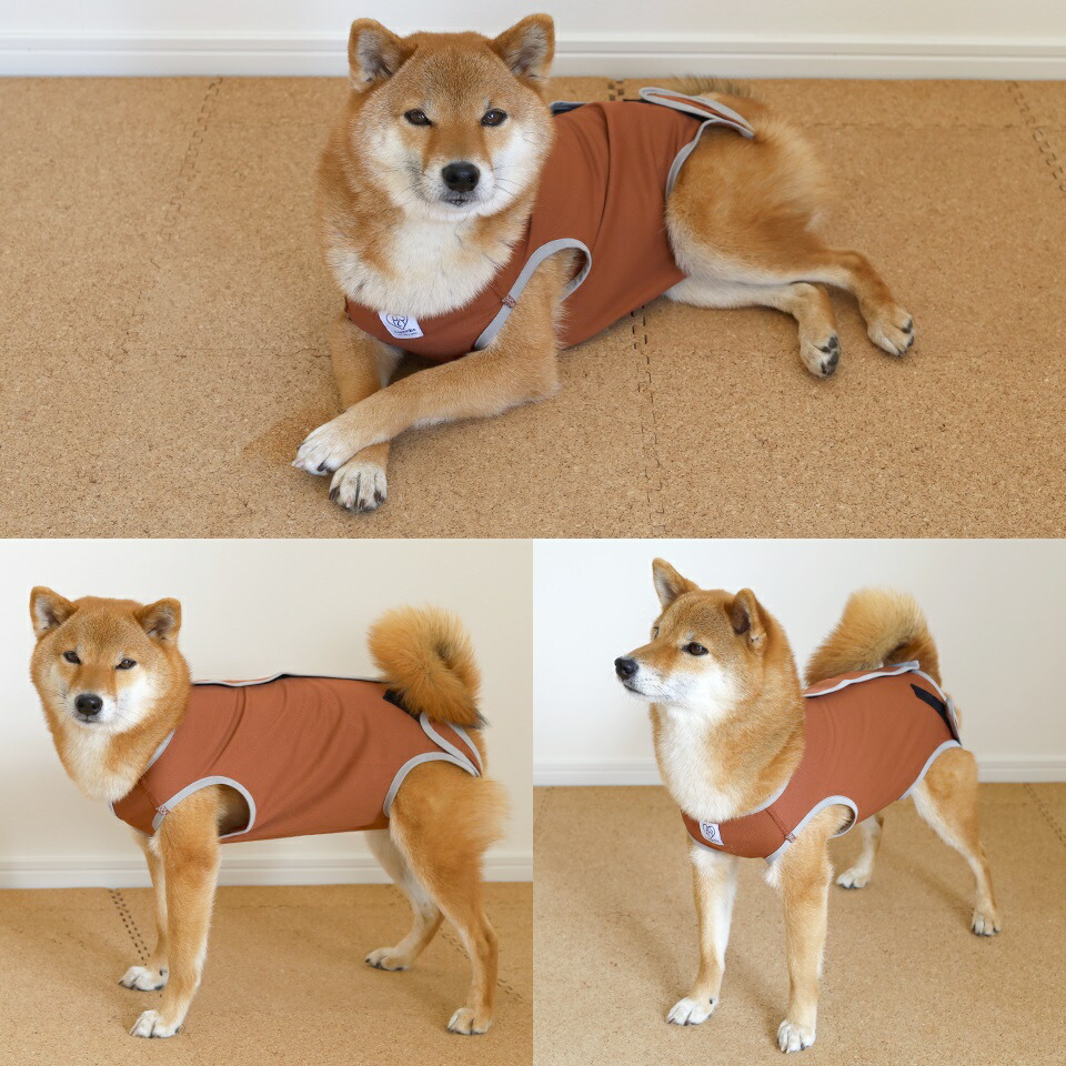 【メール便対象品】 ペット用 術後服 犬 女の子用 6号 ブラウン 大阪公立大学との共同開発 PETCF4 スケーター メス 雌【服 抗菌 消臭 手術後 ウェア いぬ わんちゃん 肌にやさしい 着せやすい 傷なめ 防止 傷口 保護 茶】