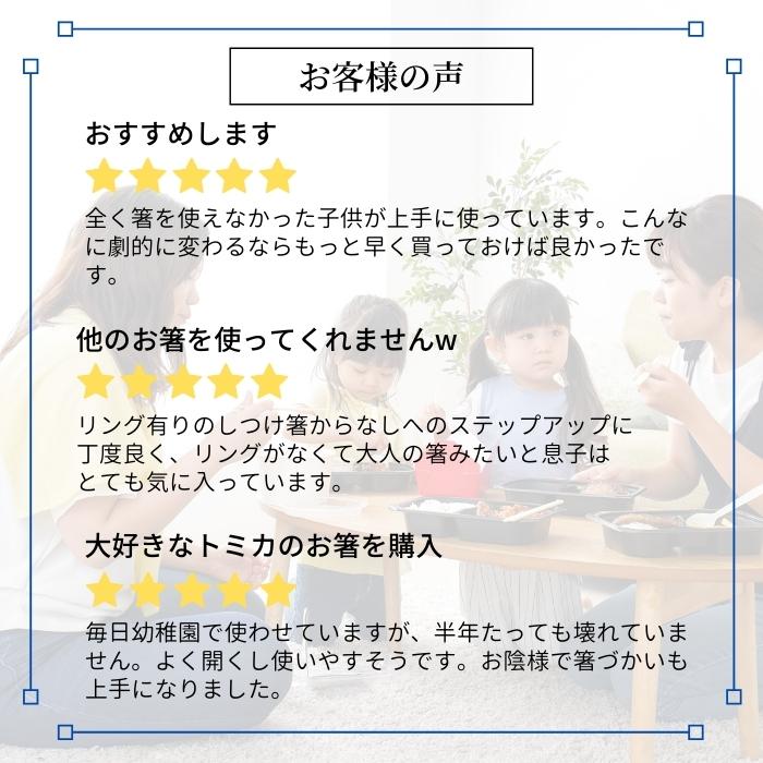デラックストレーニング箸 右利き用 すみっコぐらし うさぎのおにわ/ADXT1S_4973307590771/スケーター