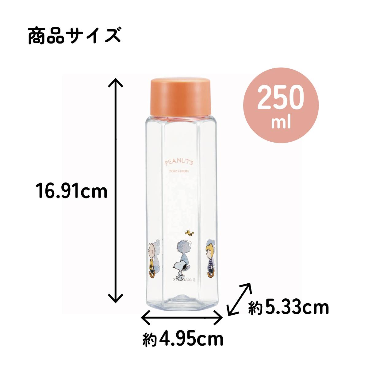 六角形 水筒 プラスチック 250ml ブロー ボトル 大人 キッズ 子供 直飲み 透明 スケーター skater PDH3 スヌーピー SNOOPY ピーナッツ 女性 レディース