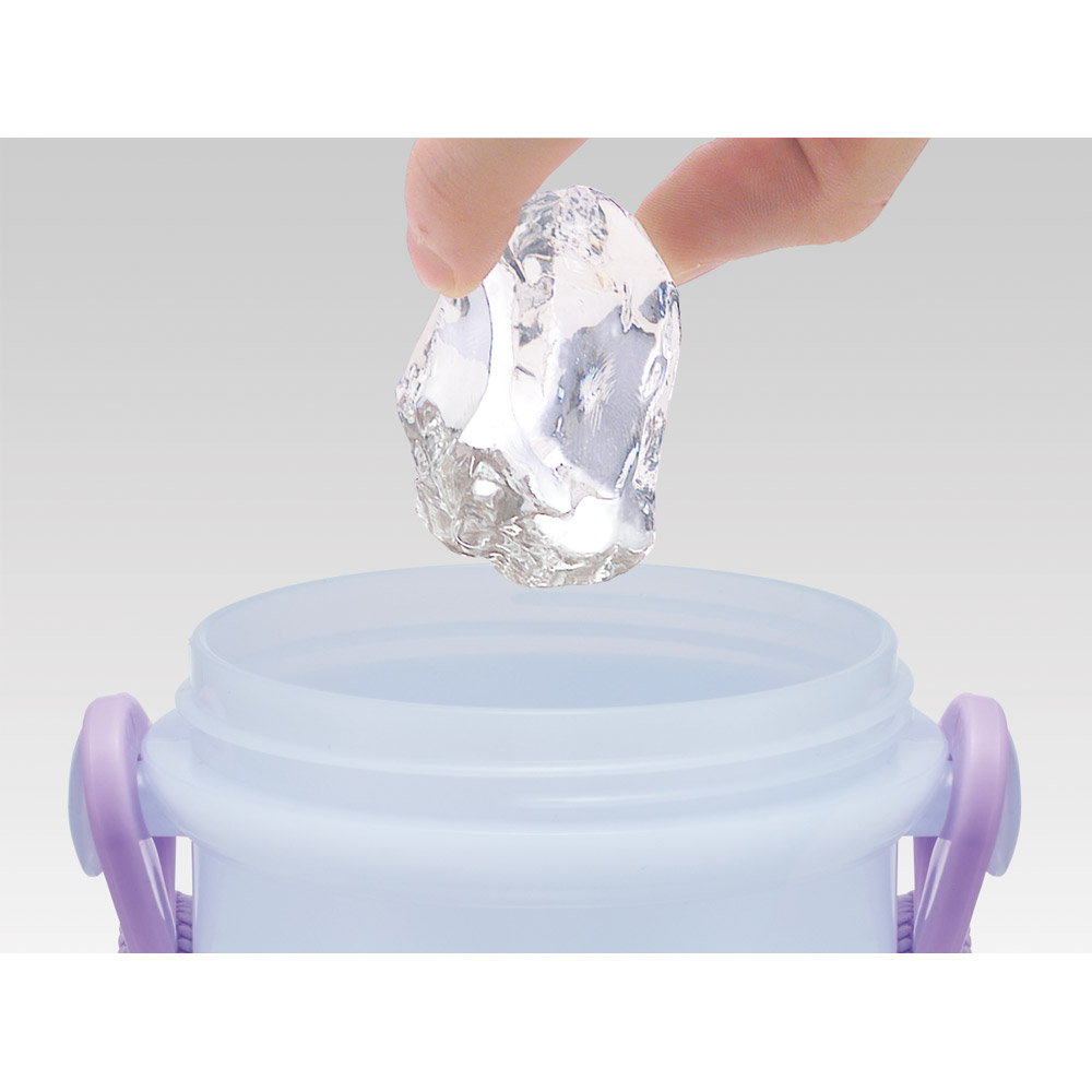スケーター 水筒 キッズ ワンタッチ プラスチック 直飲み ボトル 子供 かわいい 480ml skater PSB5SAN アナと雪の女王 26年 アナ雪 ディズニー 女の子 女子【キャラクター ワンプッシュ ダイレクト 軽量 軽い 子ども】