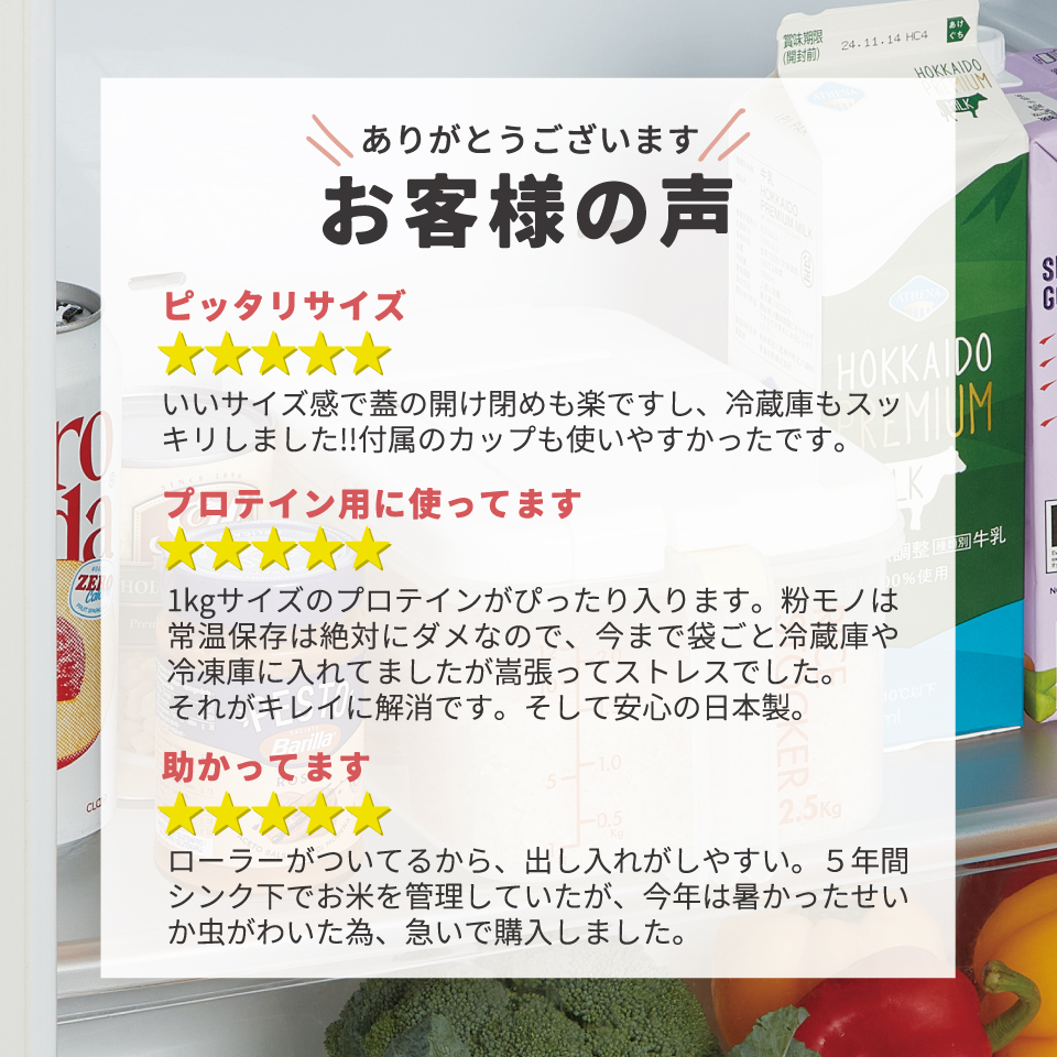 スケーター 冷蔵庫用 米びつ 横型 2.5kg 計量カップ付 日本製 ワンプッシュ キャスター付き skater RBI2 スモーキーブルー【一人暮らし 新生活 お米 保存 冷蔵 スリム コンパクト おしゃれ】