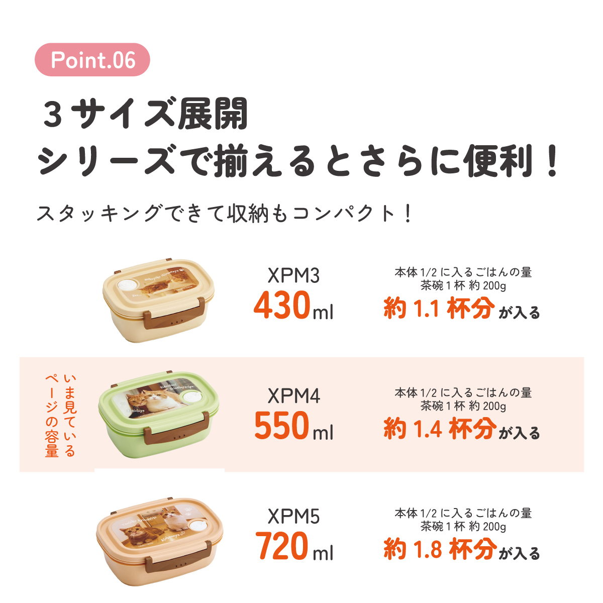 ラク軽弁当箱(M) 1段/550ml茶太郎ときなこ/XPM4_4973307664076