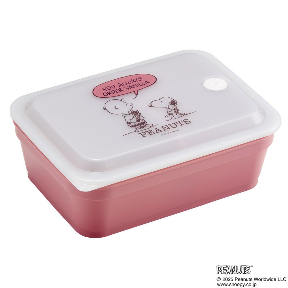 スケーター 抗菌 パッキン 一体型 ふわっと 保存容器 600ml おかず