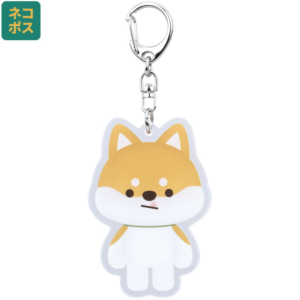 ＳＨＩＢＡ